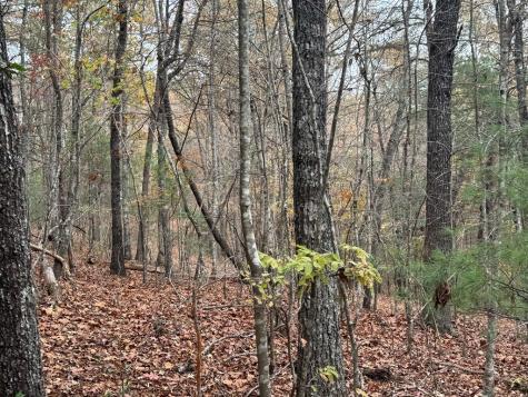 9 Paradise Park Road Brasstown NC 28902
