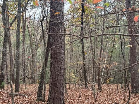 9 Paradise Park Road Brasstown NC 28902