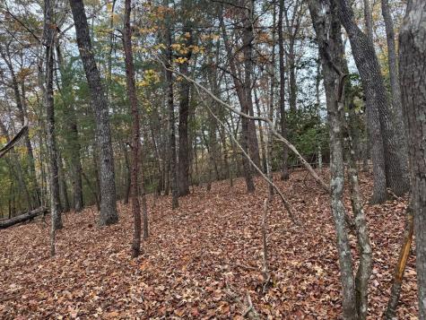 9 Paradise Park Road Brasstown NC 28902