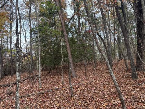 9 Paradise Park Road Brasstown NC 28902