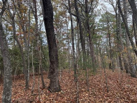 9 Paradise Park Road Brasstown NC 28902