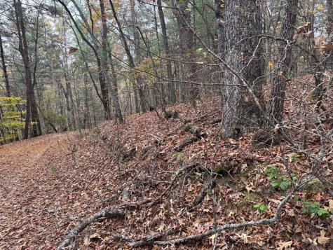 9 Paradise Park Road Brasstown NC 28902