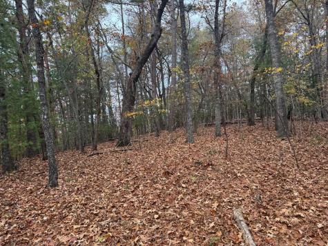 9 Paradise Park Road Brasstown NC 28902