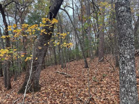9 Paradise Park Road Brasstown NC 28902