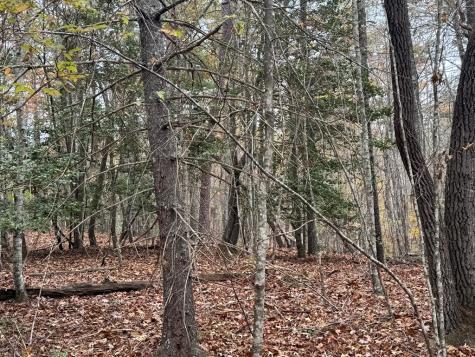 9 Paradise Park Road Brasstown NC 28902