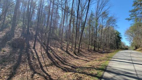 Na Rock Creek Road Cherry Log GA 30522