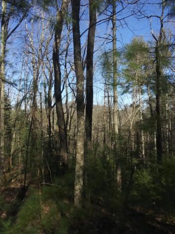 Na Rock Creek Road Cherry Log GA 30522