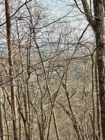 Lot 27 Prospect Ridge Blue Ridge GA 30513