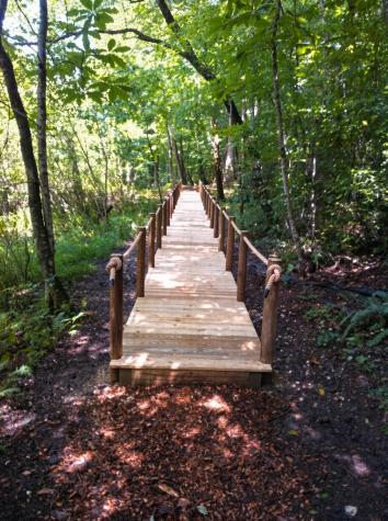 Lot 27 Prospect Ridge Blue Ridge GA 30513