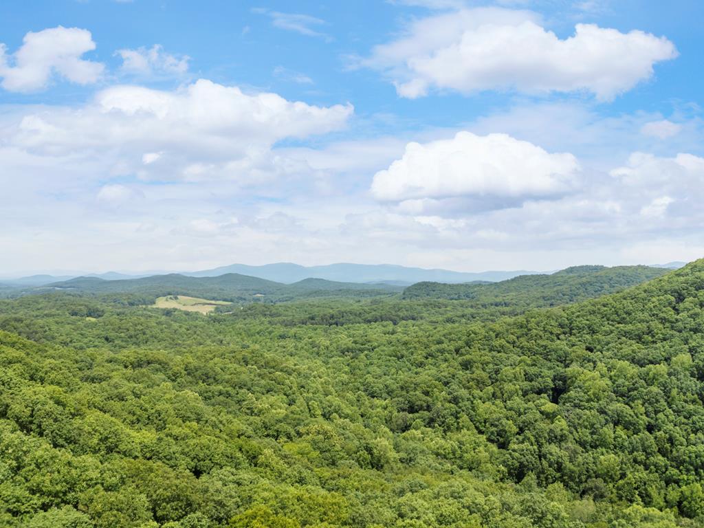 57.64 Ac Mountain Ash Road Ellijay GA 30536
