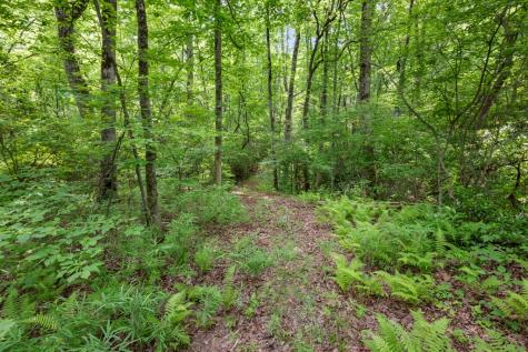 57.64 Ac Mountain Ash Road Ellijay GA 30536