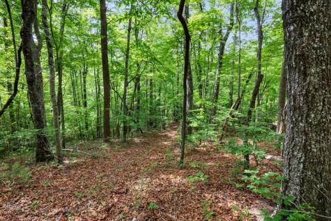 57.64 Ac Mountain Ash Road Ellijay GA 30536