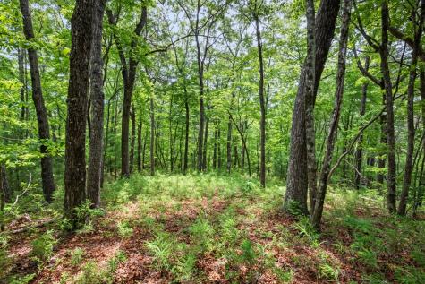 57.64 Ac Mountain Ash Road Ellijay GA 30536