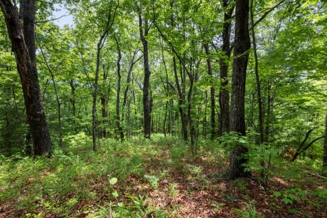 57.64 Ac Mountain Ash Road Ellijay GA 30536