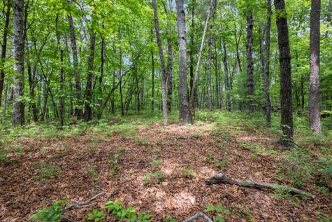 57.64 Ac Mountain Ash Road Ellijay GA 30536