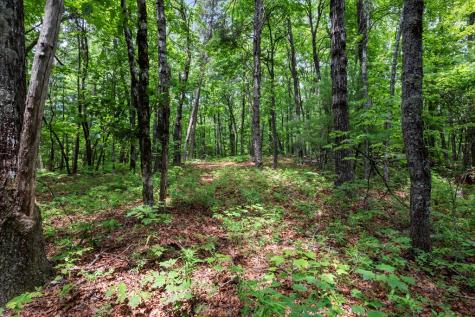 57.64 Ac Mountain Ash Road Ellijay GA 30536