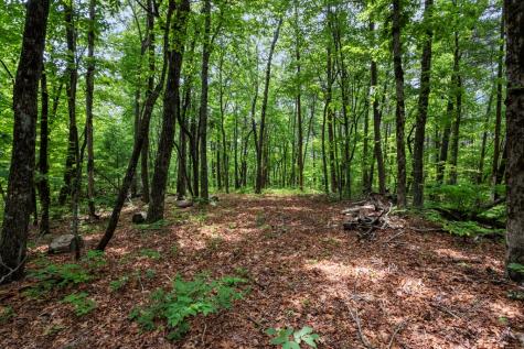 57.64 Ac Mountain Ash Road Ellijay GA 30536