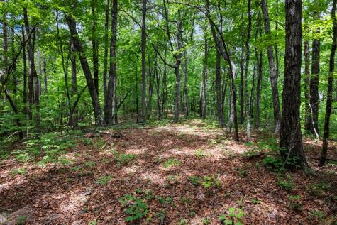 57.64 Ac Mountain Ash Road Ellijay GA 30536