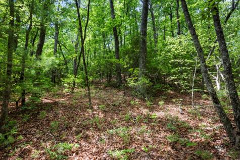 57.64 Ac Mountain Ash Road Ellijay GA 30536