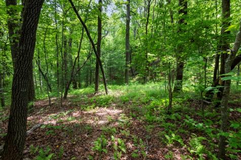 57.64 Ac Mountain Ash Road Ellijay GA 30536