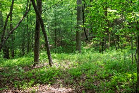 57.64 Ac Mountain Ash Road Ellijay GA 30536
