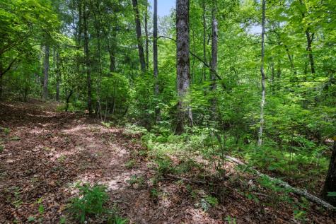 57.64 Ac Mountain Ash Road Ellijay GA 30536
