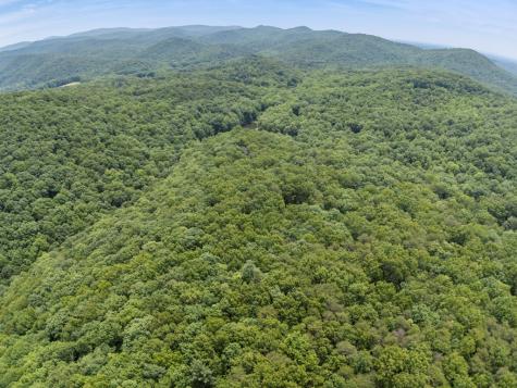 57.64 Ac Mountain Ash Road Ellijay GA 30536