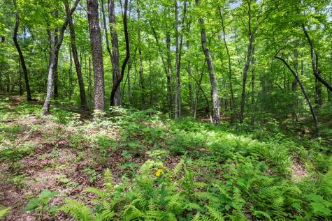 57.64 Ac Mountain Ash Road Ellijay GA 30536