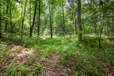 57.64 Ac Mountain Ash Road Ellijay GA 30536