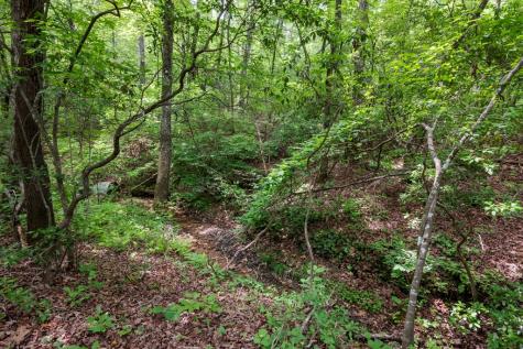 57.64 Ac Mountain Ash Road Ellijay GA 30536