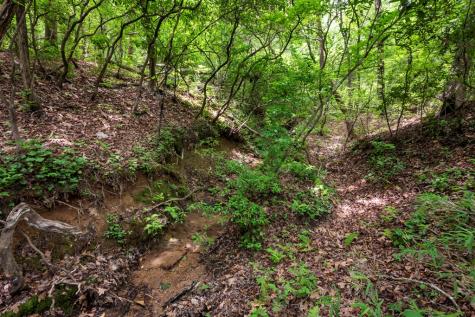 57.64 Ac Mountain Ash Road Ellijay GA 30536