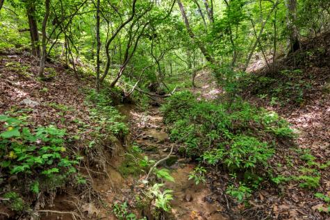 57.64 Ac Mountain Ash Road Ellijay GA 30536