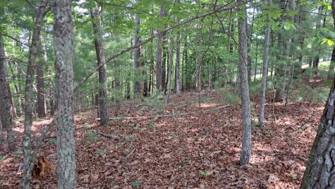 31 Acres Upper Bear Paw Road Murphy NC 28906