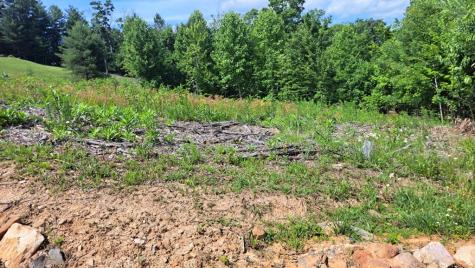 31 Acres Upper Bear Paw Road Murphy NC 28906