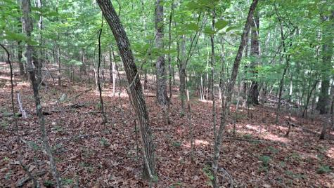 31 Acres Upper Bear Paw Road Murphy NC 28906