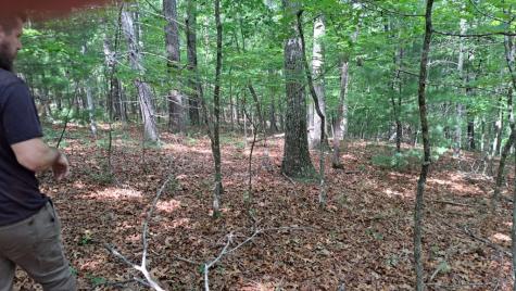 31 Acres Upper Bear Paw Road Murphy NC 28906