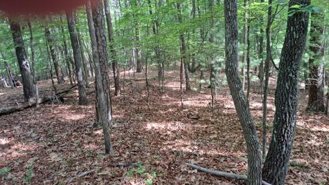 31 Acres Upper Bear Paw Road Murphy NC 28906