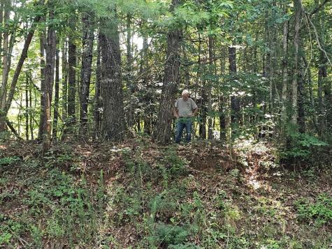 31 Acres Upper Bear Paw Road Murphy NC 28906