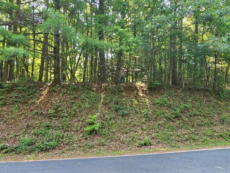 31 Acres Upper Bear Paw Road Murphy NC 28906