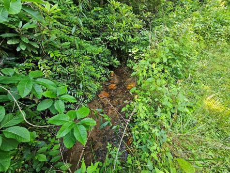 31 Acres Upper Bear Paw Road Murphy NC 28906