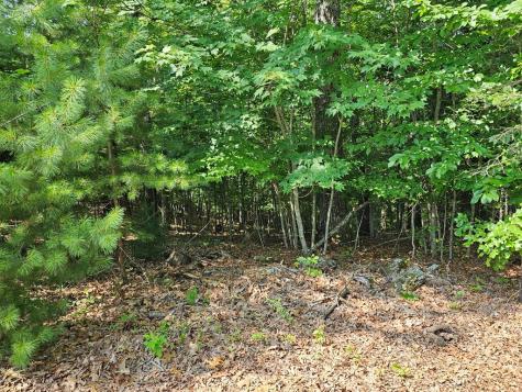 31 Acres Upper Bear Paw Road Murphy NC 28906