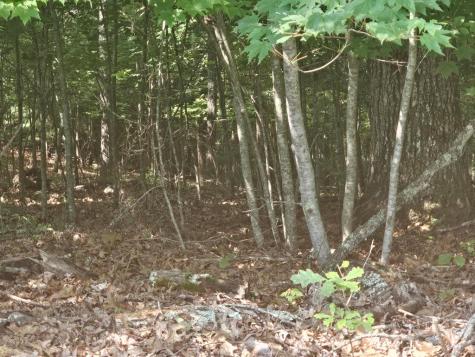 31 Acres Upper Bear Paw Road Murphy NC 28906