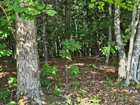 31 Acres Upper Bear Paw Road Murphy NC 28906