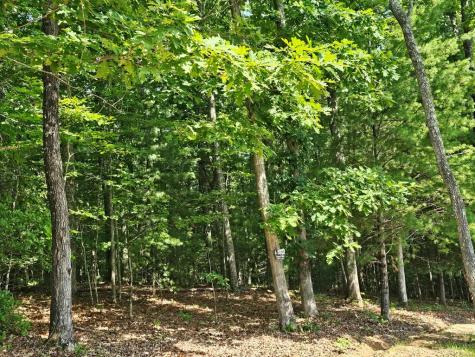 31 Acres Upper Bear Paw Road Murphy NC 28906
