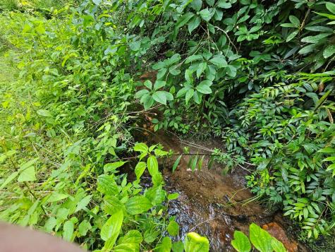 31 Acres Upper Bear Paw Road Murphy NC 28906