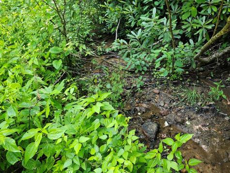 31 Acres Upper Bear Paw Road Murphy NC 28906