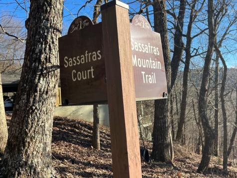 0 Sassafras Court Jasper GA 30143