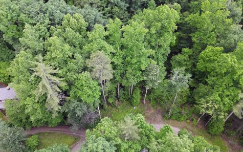 Trail 3 Cindy Cove Road Blairsville GA 30512