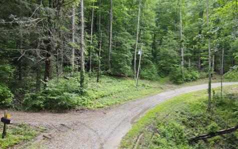 Trail 3 Cindy Cove Road Blairsville GA 30512