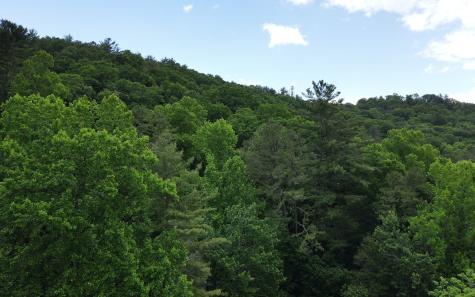 Trail 3 Cindy Cove Road Blairsville GA 30512